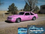 PINK MUSTANG.jpg