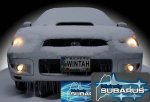wg_feb_snowMED.jpg