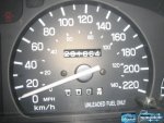 Speedo.jpg Speedo.jpg