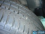 DSCN1249.jpg